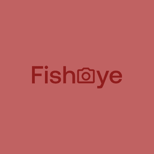 <FishEye - React Formation />