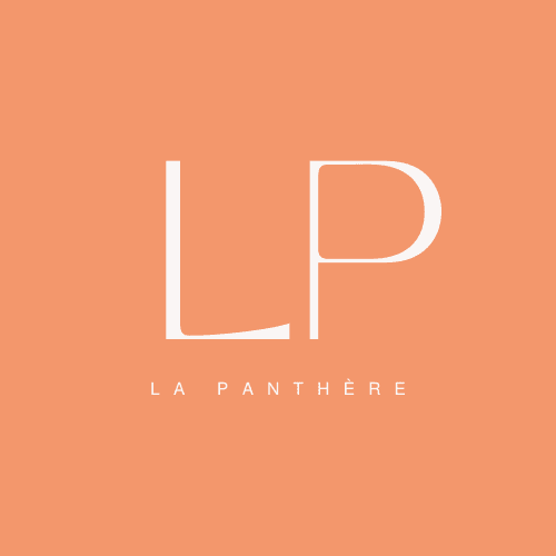 <LaPanthère - Dev Web Formation />