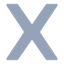 X Icon